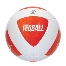 Minge TEQBALL mărimea 5 S-SPORT - S-Sport.ro