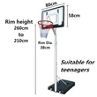 Imagine 2/3 - Suport cu coș de baschet SPARTAN TRANSPARENT JUNIOR - S-Sport.ro