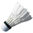 Imagine 2/3 - Set de 6 stilouri cu pene SPARTAN - S-Sport.ro