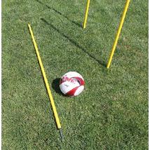Baston de slalom, fix, 160 cm WINART - S-Sport.ro