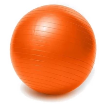 Minge de gimnastică, 85 cm SPARTAN - S-Sport.ro