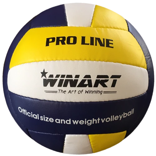 Volei WINART PRO LINE Nr.5