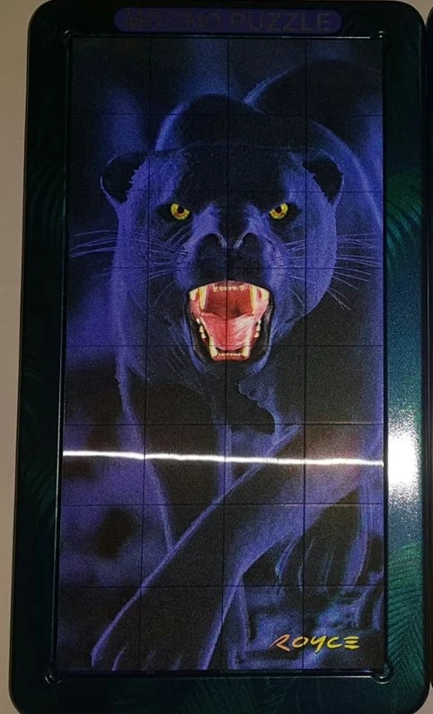 Puzzle magnetic 3D