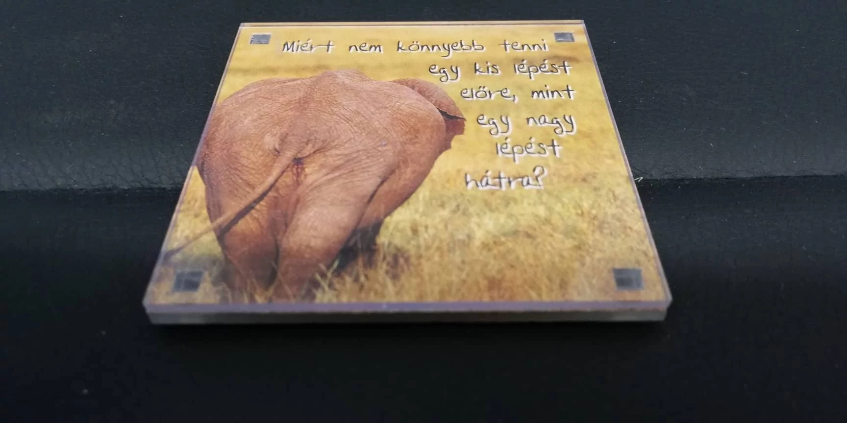 Magnet de frigider cu text amuzant