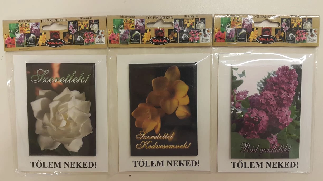 Magnet de frigider De la mine pentru tine!
